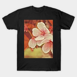 Dreaming Blossom Trio T-Shirt